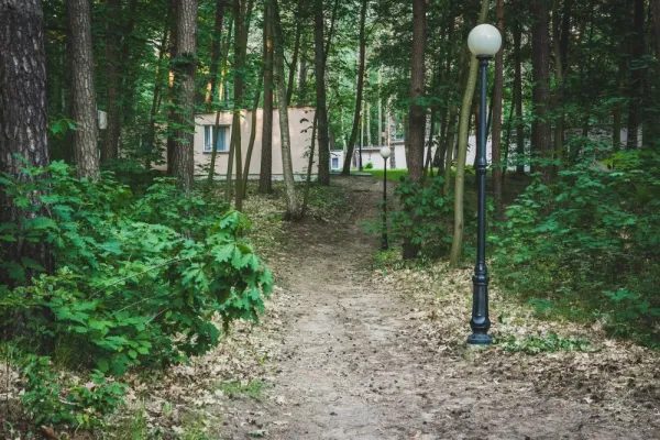 Magic Camping nad jeziorem