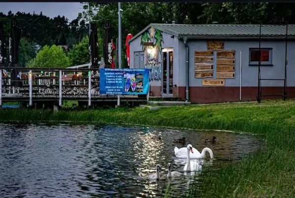Beach Bar Ibiza nad jeziorem Reczynek w Ośnie Lubuskim