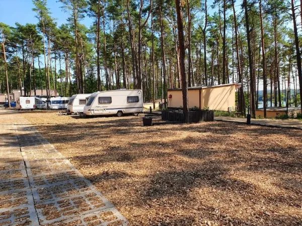 Pole campingowe Magic Camping Lubniewice