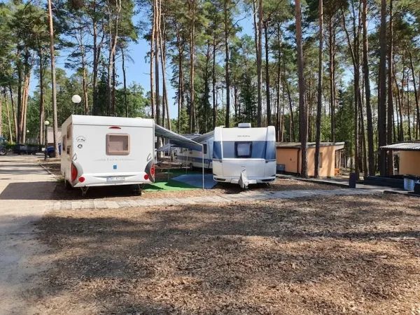 Pole campingowe Magic Camping Lubniewice