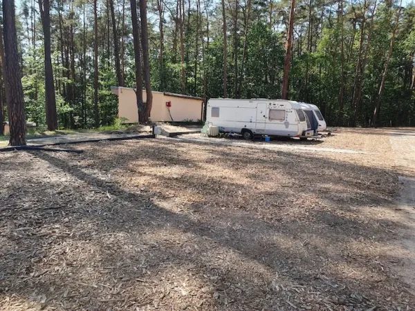 Pole campingowe Magic Camping Lubniewice
