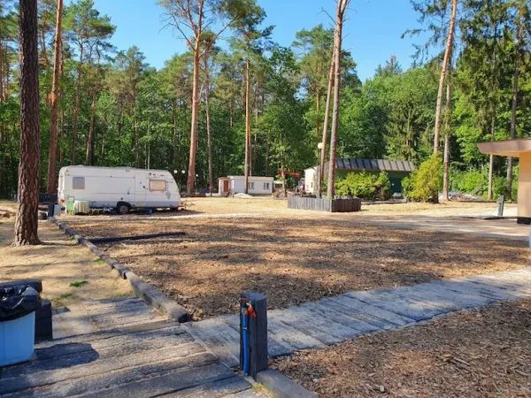 Pole campingowe Magic Camping Lubniewice