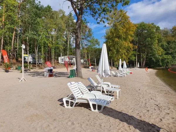 Magic Camping nad jeziorem o zmierzchu
