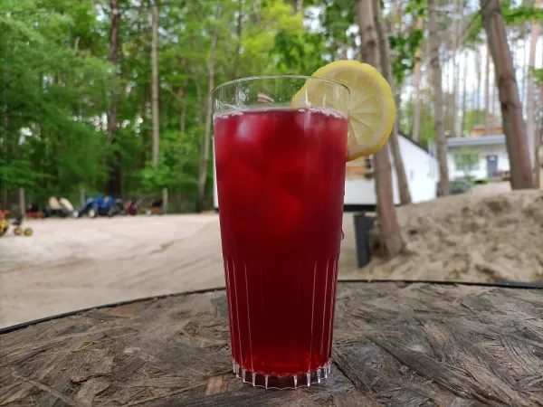 Magic Camping nad jeziorem o zmierzchu