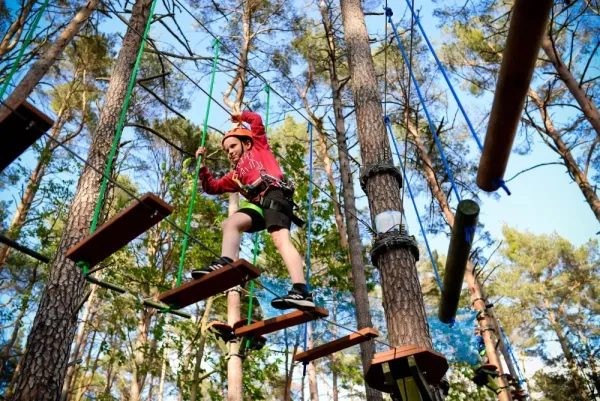 Park linowy Magic Jungle w Lubniewicach