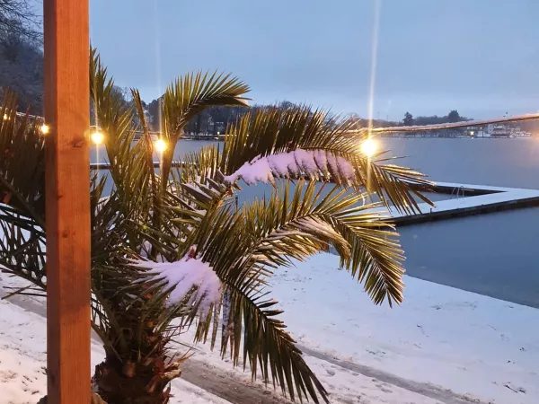 Palma pokryta śniegiem na plaży nad jeziorem zimą, oświetlona lampami, w tle pomost i zabudowania ośrodka.